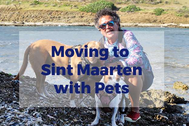 Moving to Sint Maarten with Pets: A Guide to Relocating to a Tropical Paradise