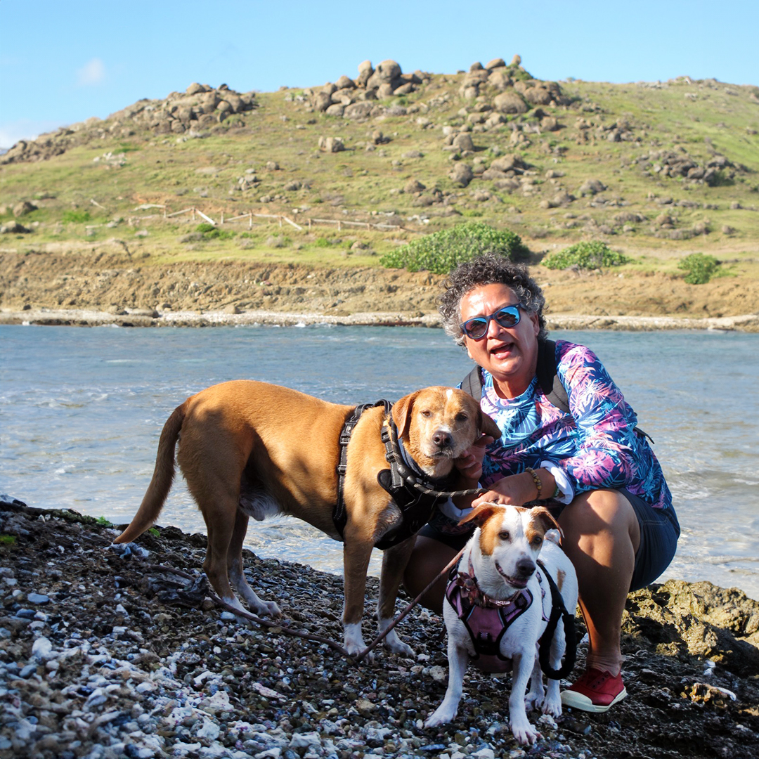 Moving to Sint Maarten with Pets A Guide to Relocating to a Tropical